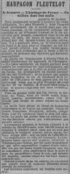1894 le 28 janvier journal le radical arpagon fleutelot