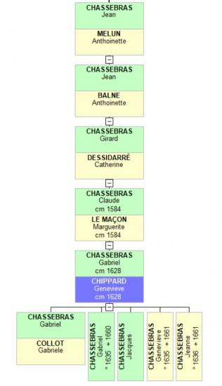 Arbre CHASSEBRAS