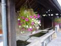 Avot lavoir fleuri,  photo Christian et Marie LAURENT