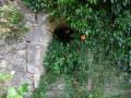 Chapelle St-Hubert au hameau de Tout-y-Faut 2