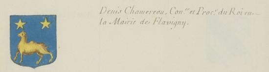Denis CHAMEREAU