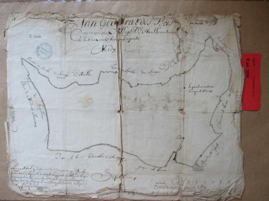 Étaules Plan géométral des bois en 1678