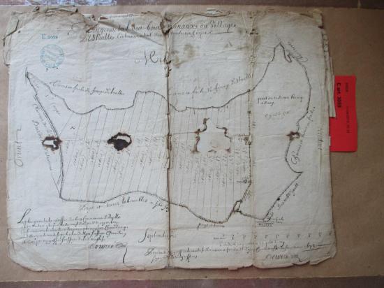 Étaules Plan géométral des bois avec les 25 coupes en 1678
