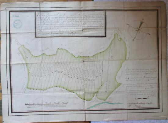 Étaules Plan géométral des bois avec les 25 coupes en 1756
