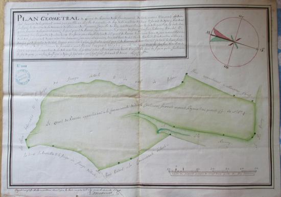 Étaules Plan géométral des bois de la réserve en 1756