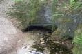 Source de la Coquille